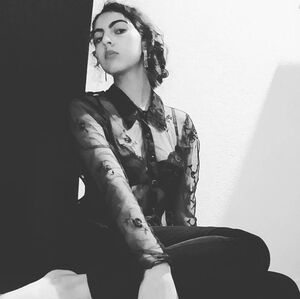 Vintage 90s Black Sheer Mesh Button Down Shirt with Burgundy Embroidered Flowers